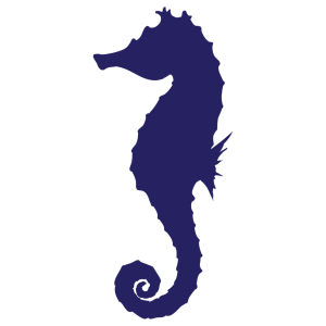 Logo do framework de Líquido: imagem lateral de um cavalo marinho, como se fosse sua sombra. em azul marinho, voltado à esquerda.